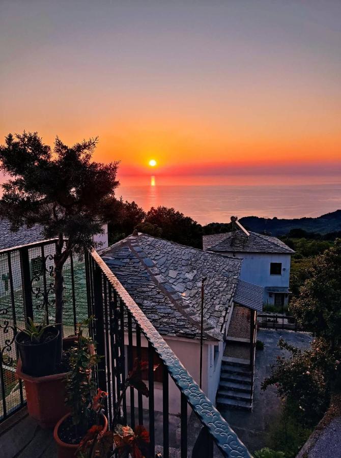 Guesthouse Papagiannopoulou Zagorá Ngoại thất bức ảnh
