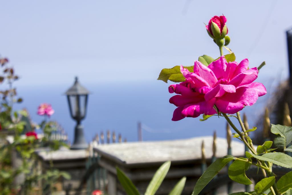 Guesthouse Papagiannopoulou Zagorá Ngoại thất bức ảnh