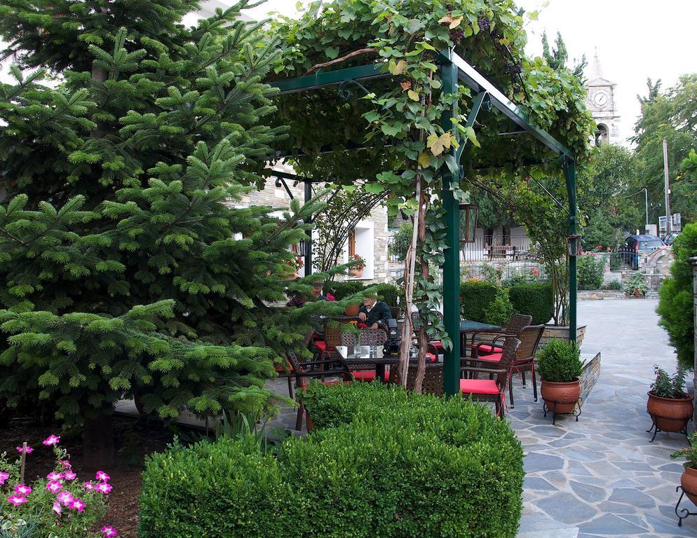 Guesthouse Papagiannopoulou Zagorá Ngoại thất bức ảnh