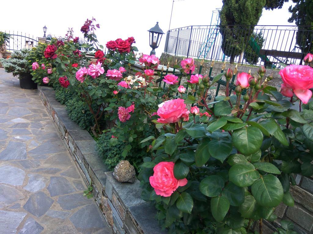 Guesthouse Papagiannopoulou Zagorá Ngoại thất bức ảnh